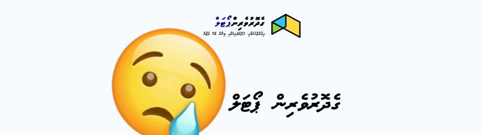 ދޮގު ލިޔުން  އުފައްދަން މަޖުބޫރު ކުރުވީ ސަރުކާރުން