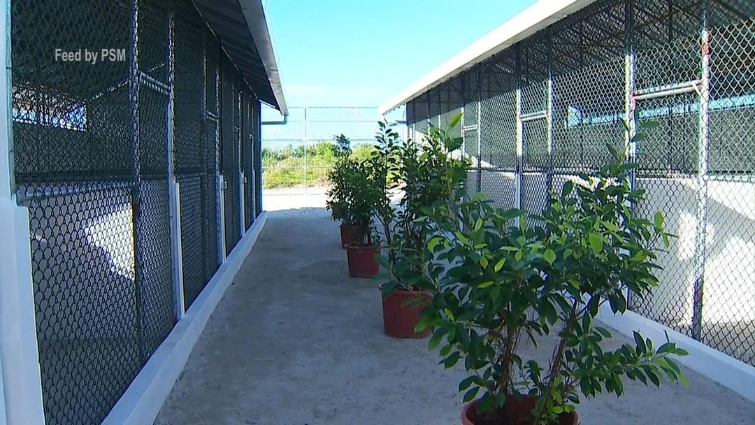 ބުޅަލުގެ ނަމުގައި ކޮރަޕްޝަނެއް ނޫންތަ؟