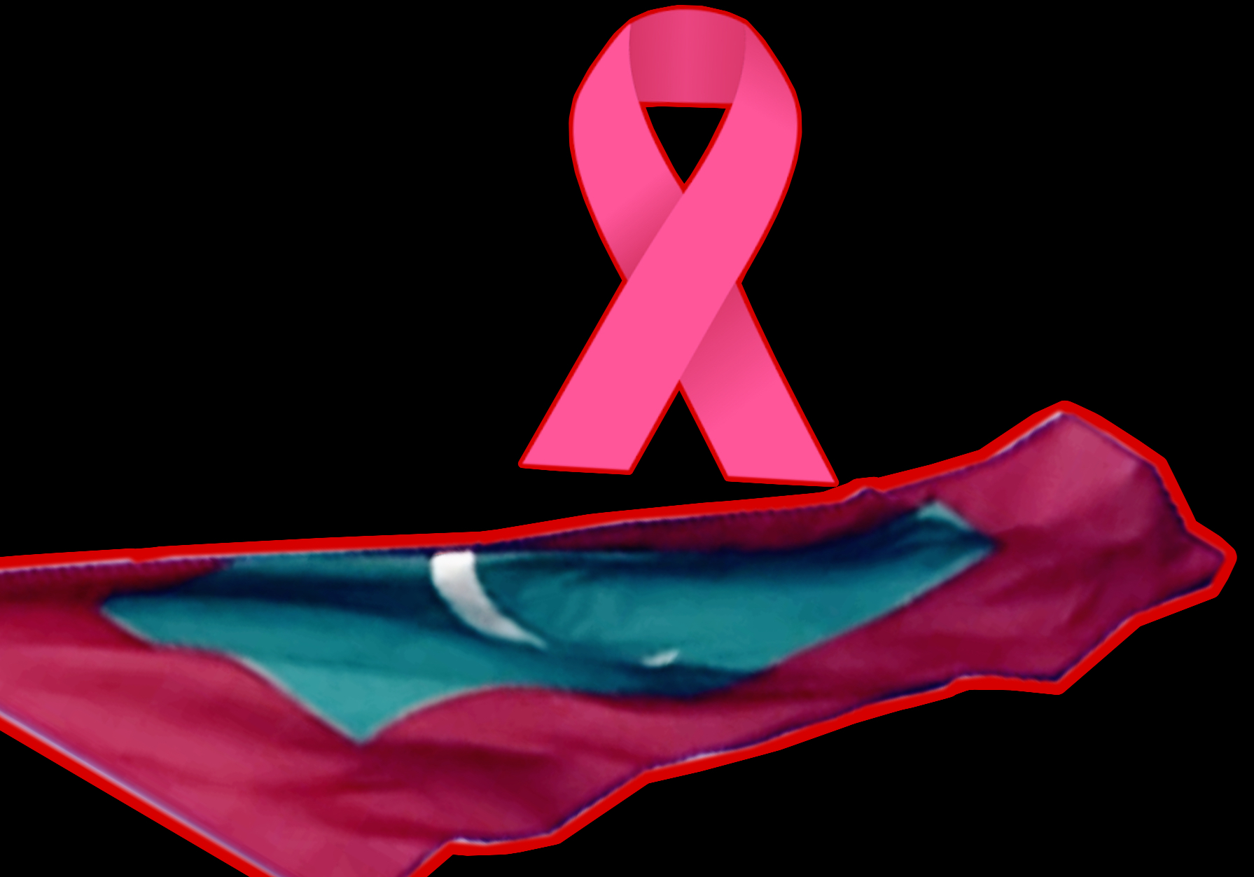 ސިޔާސީންގެ ޚަރަދު ނޭނގިހުއްޓާ ޤައުމަށް ކެންސަރު ޖެހިއްޖެ