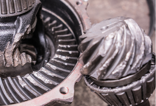 ޢިލްމީ މީހުން ބާކީކޮށް ވައްކަމުން ބުލެކްބެލްޓު ހޯދާފައިވާ މީހުންނާއެކު ސޯބުތައް ނުވަތަށް އެނބުރެނީ…