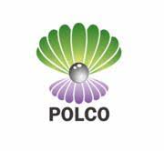 ޕޮލިސް ކުންފުނި ހިންގަން ބޭރުގެ ސީއީއޯ އެއް…
