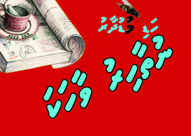 ހަޑި މުޑުދާރު ކަންކަމުގެ ނުތާހިރު ވާހަކަ ވެސް ދައްކަންވީ