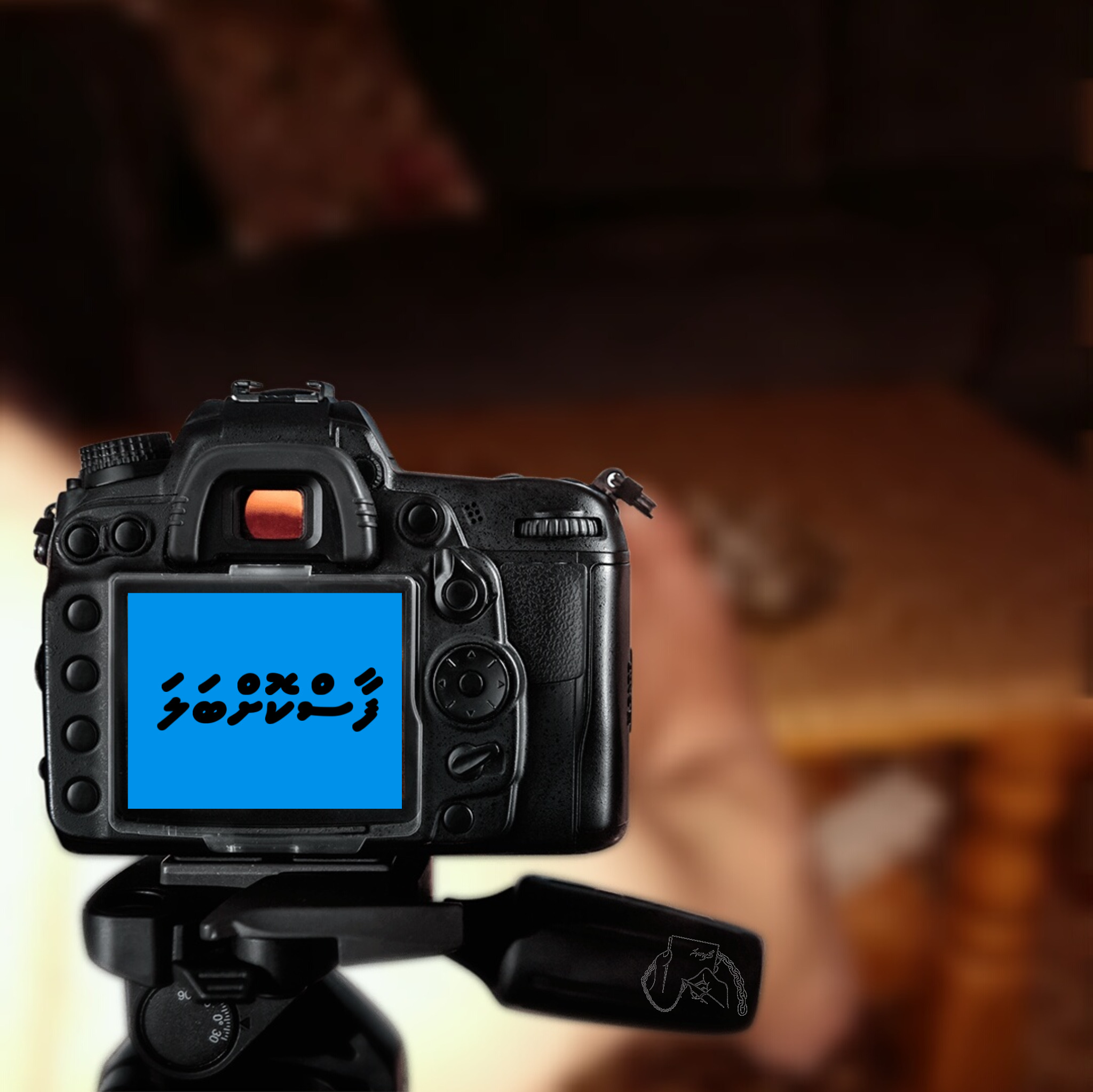 ނޫސްވެރިކަމުގެ ބިލު އަވަހަށް ފާސްކުރާށެވެ! އެއްޗެހިވެސް ބާލާށެވެ!